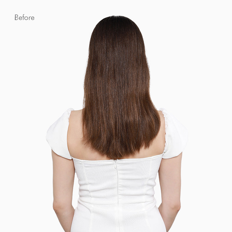 Chocolate Brown / Honey Blonde Balayage (4/26/4) Doores Band